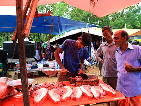 Village Tours in Sigiriya, Sigiriya and Habarana rural village walks, Village walks in Rural Villages, Village Tours in Sri Lanka, Walking tours in Sigiriya, Sigiriya Village Tours, Rural Village walking tours in Sigiriya and Habarana