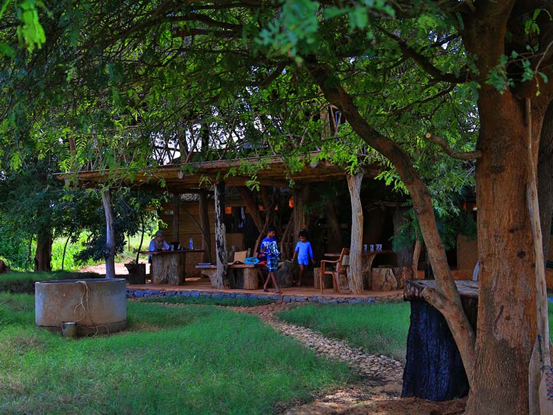Farm Stay and Elephant watching in Sri Lanka