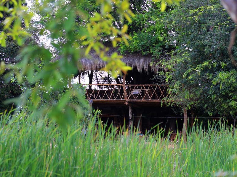 Farm Stay and Elephant watching in Sri Lanka