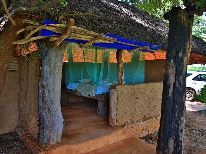 Farm Stay and Elephant watching in Sri Lanka