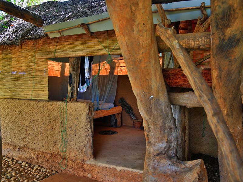 Farm Stay and Elephant watching in Sri Lanka