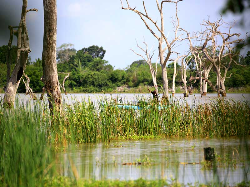 Farm Stay and Elephant watching in Sri Lanka