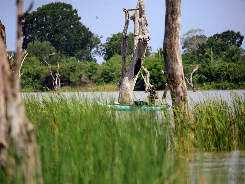 Farm Stay and Elephant watching in Sri Lanka