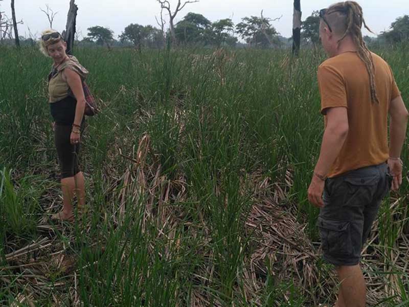 Farm Stay and Elephant watching in Sri Lanka