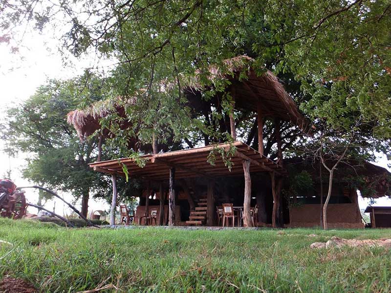 Farm Stay and Elephant watching in Sri Lanka