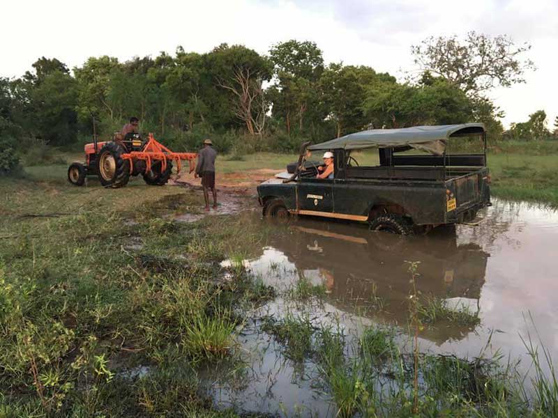 Farm Stay and Elephant watching in Sri Lanka
