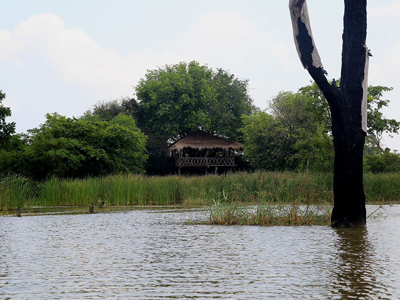 Farm Stay and Elephant watching in Sri Lanka
