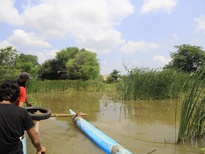 Farm Stay and Elephant watching in Sri Lanka