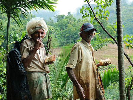 Explore a remote mountainous village in Kandy