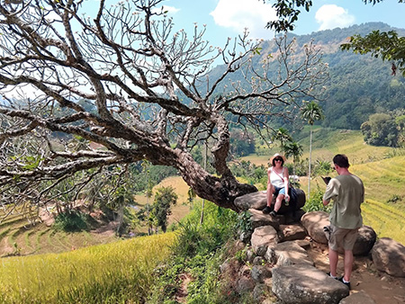 Explore a remote mountainous village in Kandy