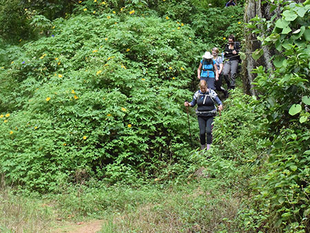 Explore a remote mountainous village in Kandy