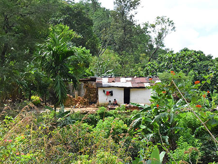 Explore a remote mountainous village in Kandy