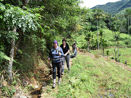 Explore a remote mountainous village in Kandy