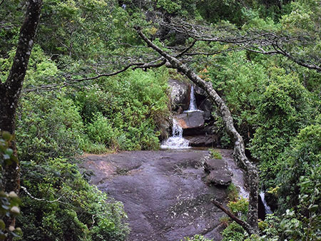 Explore a remote mountainous village in Kandy