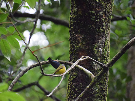 Explore a remote mountainous village in Kandy