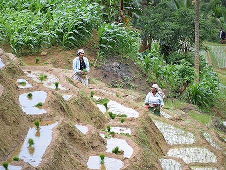 Explore a remote mountainous village in Kandy