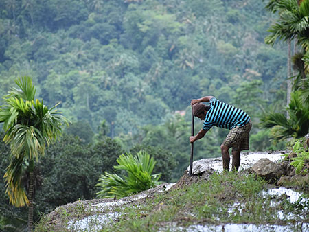 Explore a remote mountainous village in Kandy