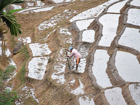 Explore a remote mountainous village in Kandy