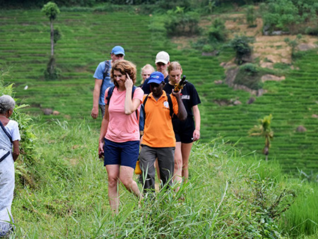 Explore a remote mountainous village in Kandy