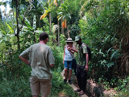 Explore a remote mountainous village in Kandy