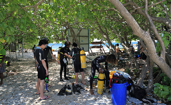 Snorkeling in Pigeon Island