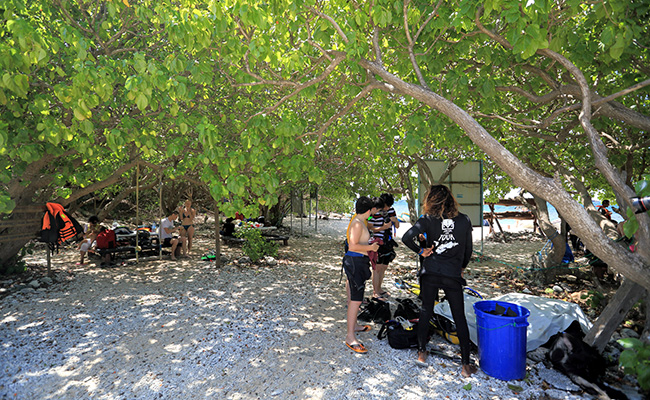 Snorkeling in Pigeon Island