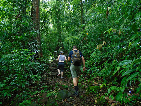 Sri Lankan's Village Life, Rain Forest Experience in Sri Lanka, Sri Lanka Home Stays, Home Stay experince in Sri Lanka, Sinharaja Rain Forest trekking, Village Experiences in Sri Lanka, Bentota