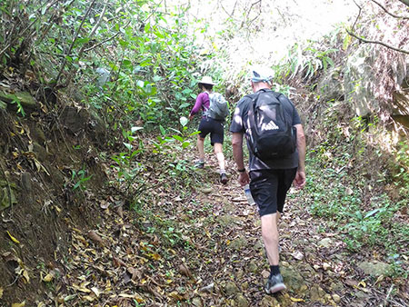 Sri Lankan's Village Life, Rain Forest Experience in Sri Lanka, Sri Lanka Home Stays, Home Stay experince in Sri Lanka, Sinharaja Rain Forest trekking, Village Experiences in Sri Lanka, Bentota
