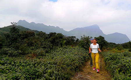 Knuckles mountains trekking Tours - Trekking in Knuckles mountains - Knuckles mountains Trekking Trips - Trekking Trips in Knuckles Mountains - Kandy Trekking Tours - Trekking in Kandy Sri Lanka - Trekking and hiking in Kandy Knuckles mountains