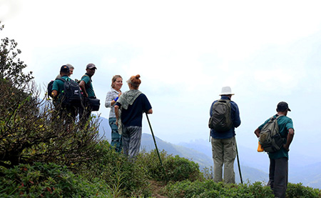 Knuckles mountains trekking Tours - Trekking in Knuckles mountains - Knuckles mountains Trekking Trips - Trekking Trips in Knuckles Mountains - Kandy Trekking Tours - Trekking in Kandy Sri Lanka - Trekking and hiking in Kandy Knuckles mountains