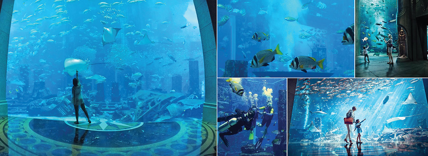 Lost Chambers in Dubai
