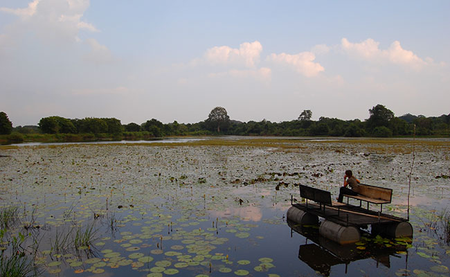 Eco & Rustic Explorer Sri Lanka