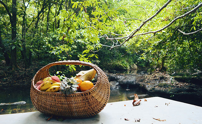 Eco & Rustic Explorer Sri Lanka