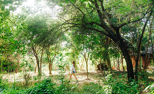 Rural Eco Tours in Sri Lanka