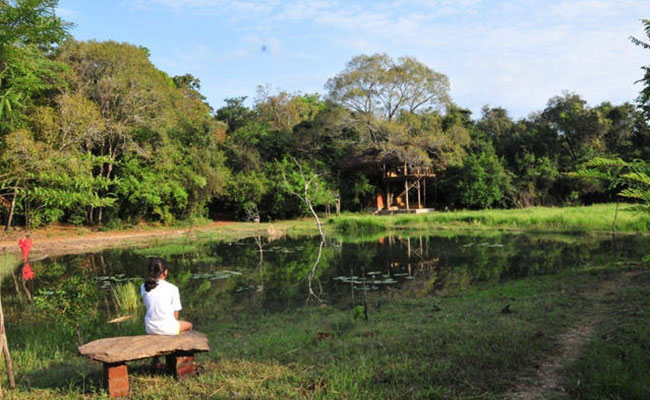 Rural Eco Tours in Sri Lanka