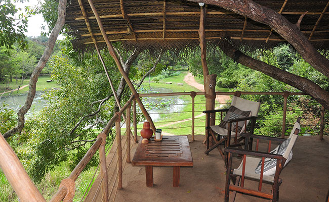 Rural Eco Tours in Sri Lanka