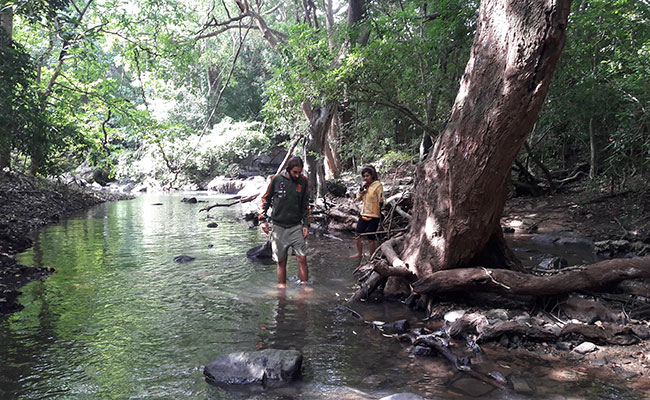Rural Eco Tours in Sri Lanka