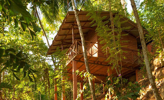 Rural Eco Tours in Sri Lanka