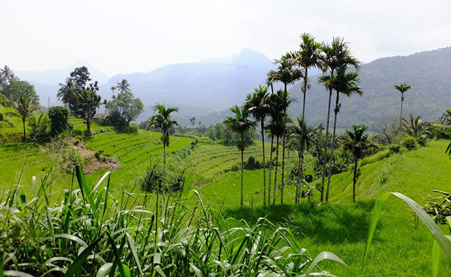 Rural Eco Tours in Sri Lanka
