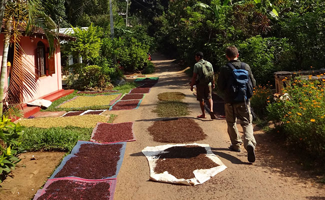 Rural Eco Tours in Sri Lanka