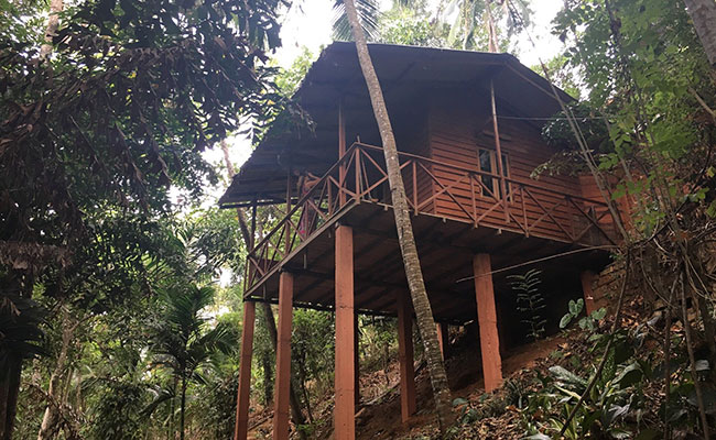 Rural Eco Tours in Sri Lanka