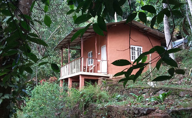 Rural Eco Tours in Sri Lanka
