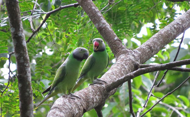 Rural Eco Tours in Sri Lanka