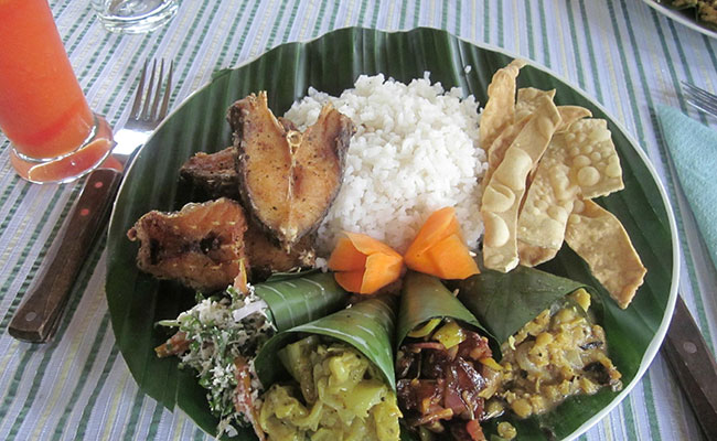 Rural Eco Tours in Sri Lanka