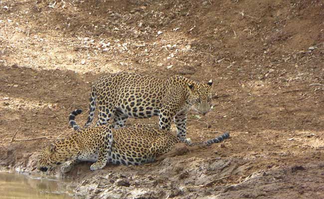 Responsible Rural Tours and Holidays in Sri Lanka