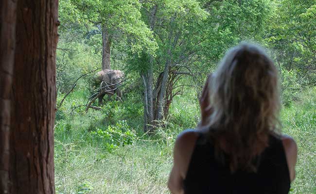 Responsible Rural Tours and Holidays in Sri Lanka