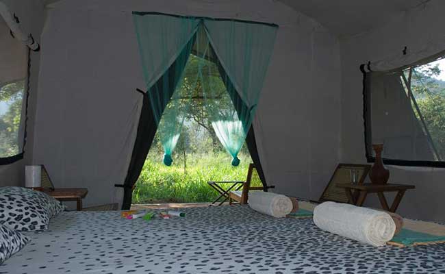 Responsible Rural Tours and Holidays in Sri Lanka