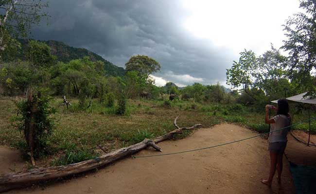 Responsible Rural Tours and Holidays in Sri Lanka