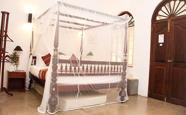 Responsible Rural Tours and Holidays in Sri Lanka