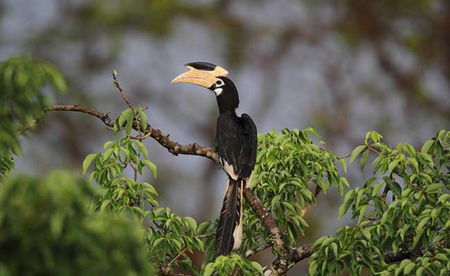 Responsible Rural Tours and Holidays in Sri Lanka